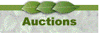 Auctions