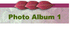 Photo Album 1