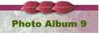 Photo Album 9